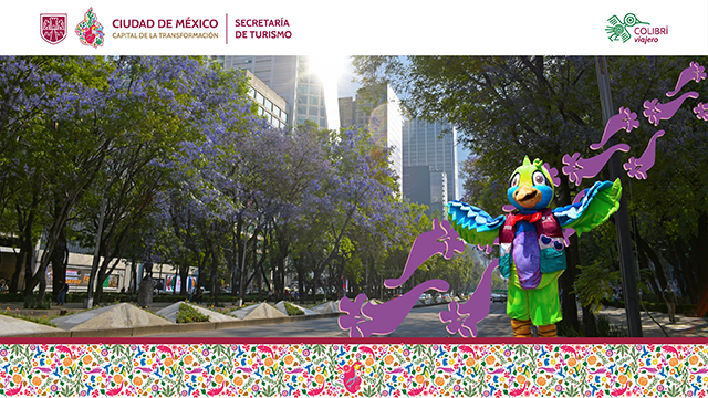 Calendario de actividades Colibrí Viajero